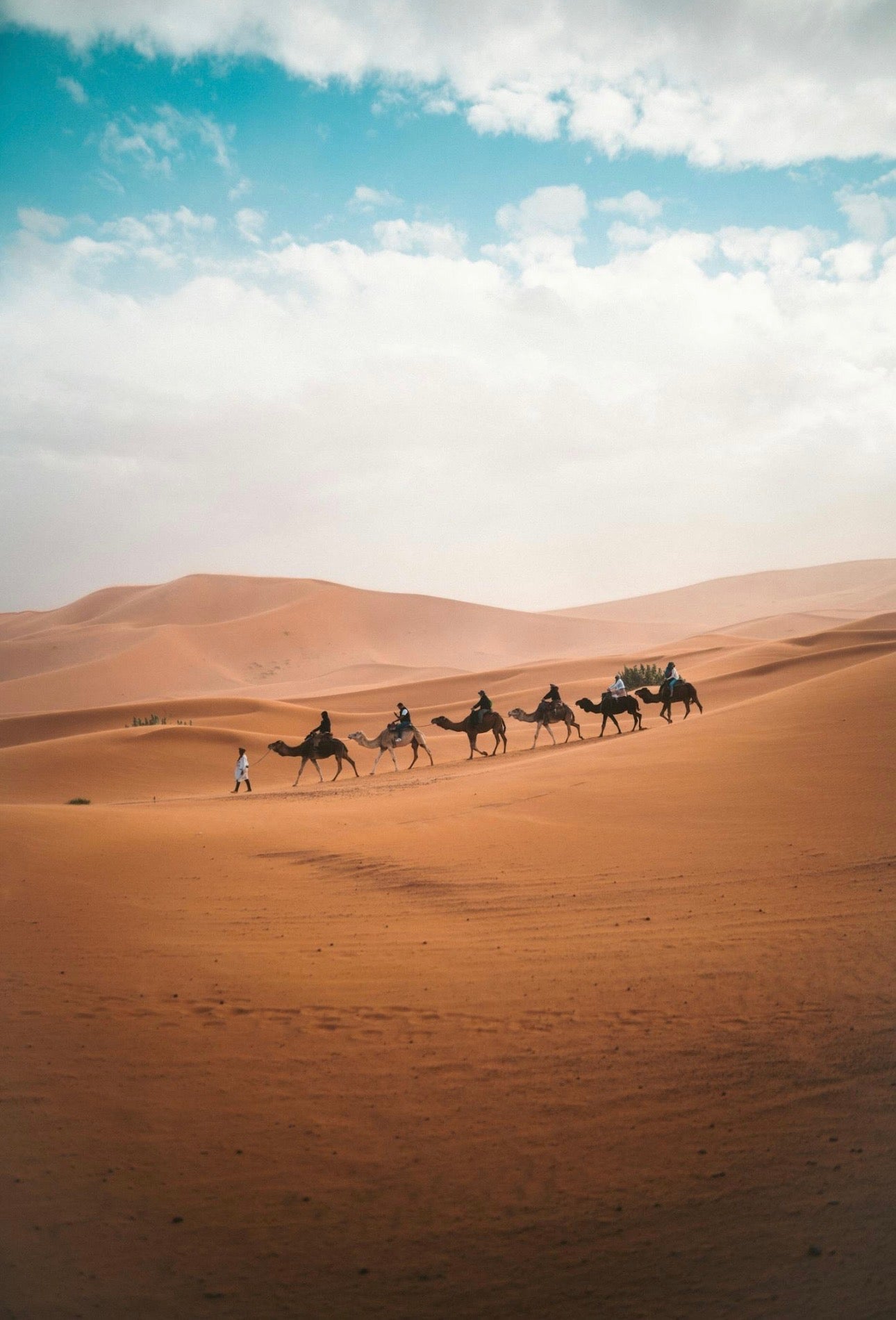 Men's routine - Moroccan inspired